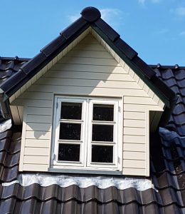 hus maler